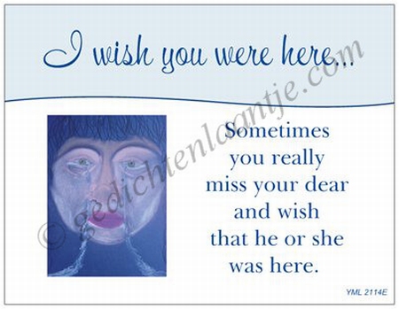 Gedichtkaart YML 2114: I wish you were here...