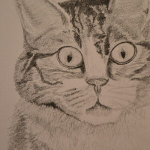 Originele grafiettekening YML "Poes"
