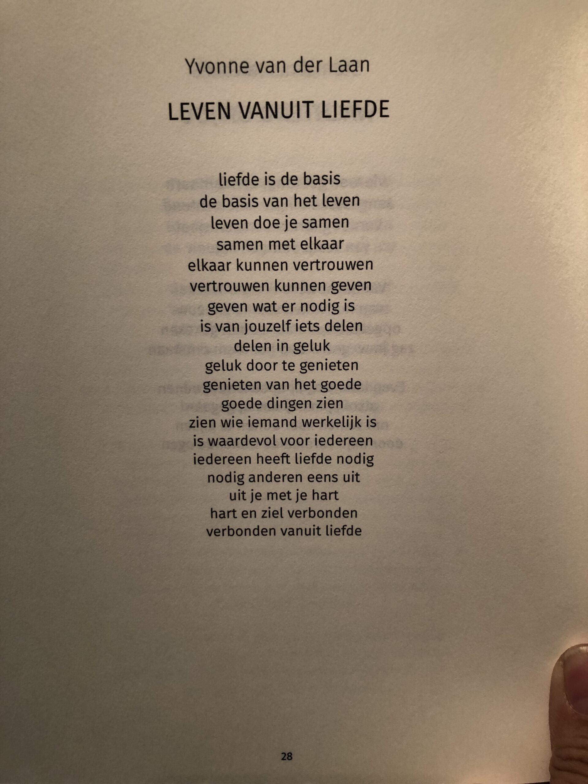 Vier (bevat 1 Positiefje-gedicht van Yvonne van der Laan) - Afbeelding 3