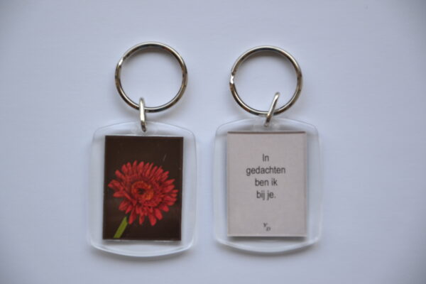 Bij je - Gerbera