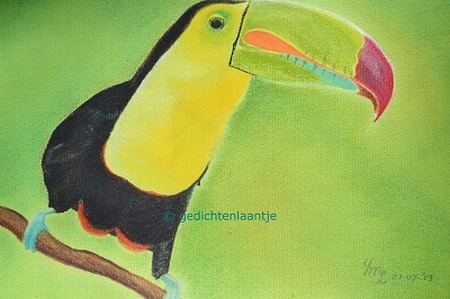 Originele pasteltekening "Toekan"