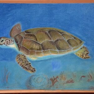 Originele pasteltekening YML "Schildpad"