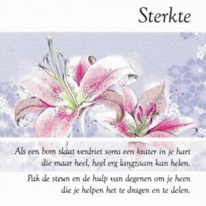 Sterkte