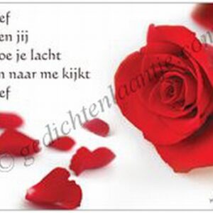 Gedichtkaart YML 2503: Lief