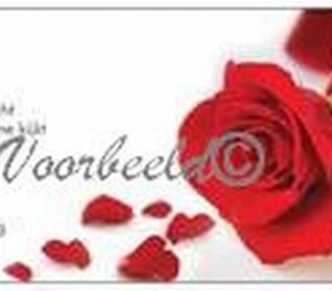 Gedachtekaartje/cadeau-kaartje YML 2503 "Lief"