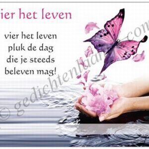 Gedichtkaart YML 591: Vier het leven