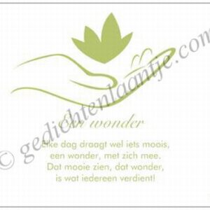 Gedichtkaart YML 944: Wonder