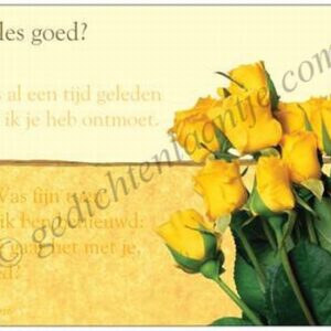 Gedichtkaart YML 1116: Alles goed?