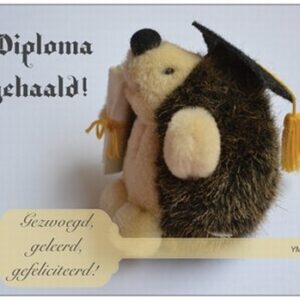 Gedichtkaart YML 2026: Diploma gehaald