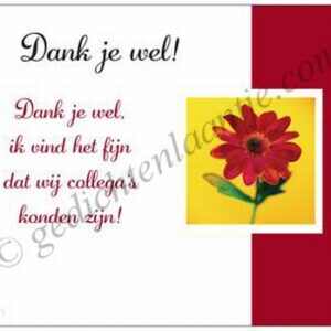 Gedichtkaart YML 1425: Bedankt! (collega)