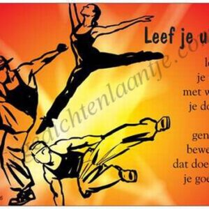 Gedichtkaart YML 1656: Leef je uit!