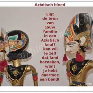 Gedichtkaart  YML 1658: Aziatisch bloed
