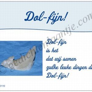 Gedichtkaart YML 2116: Dol-fijn!