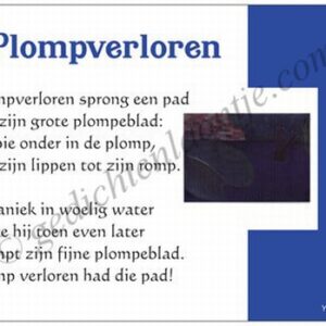 Gedichtkaart YML 1318: Plompverloren