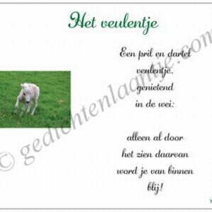 Gedichtkaart YML 1583: Het veulentje