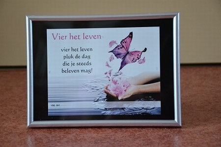 Vier het leven