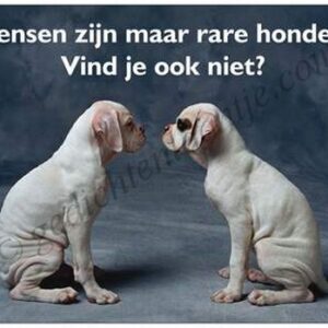 Gedichtkaart YML 835: Mensen zijn maar rare honden