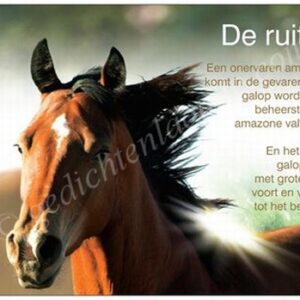 Gedichtkaart YML 113: De ruiter