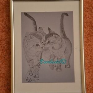 Print grafiettekening YML "Katten" in lijst 13x18 cm wit