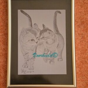 Print grafiettekening YML "Katten" in lijst 13x18 zwart