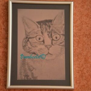 Print van  grafiettekening YML Poes 220912 achtergrond zwart