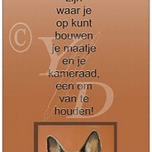 Dierenvriend - Hond