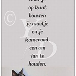 Dierenvriend - Kat