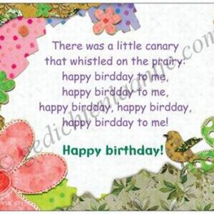 Gedichtkaart YML 671: Happy birthday!