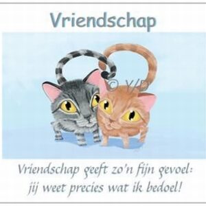 Ansichtkaartenserie Y/D