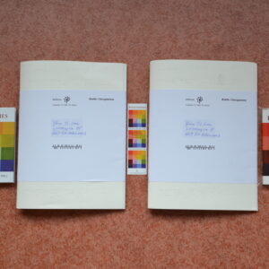 Positiefjes (Braille-editie van het boek)