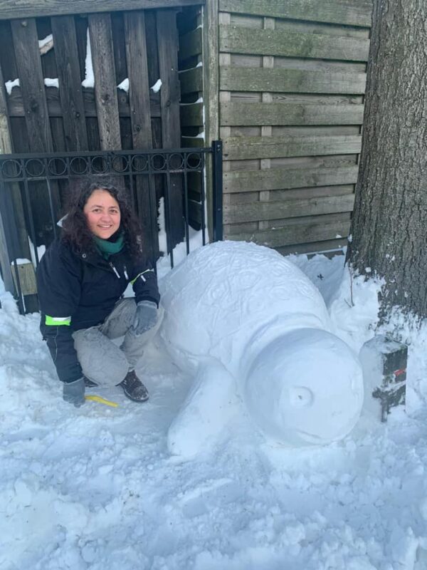 Sneeuwsculptuur 'Reuzenschildpad' - Afbeelding 3
