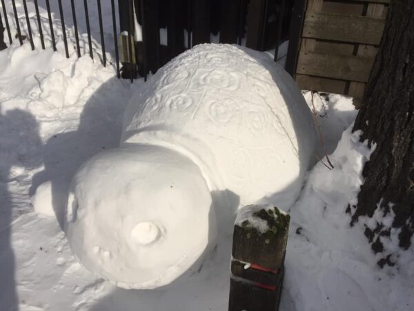 Sneeuwsculptuur 'Reuzenschildpad' - Afbeelding 5