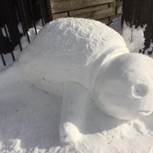 Sneeuwsculptuur 'Reuzenschildpad'