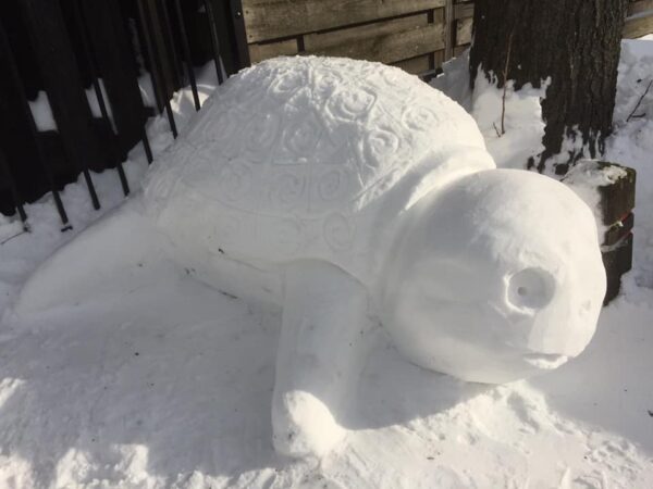 Sneeuwsculptuur 'Reuzenschildpad'