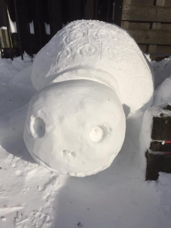 Sneeuwsculptuur 'Reuzenschildpad' - Afbeelding 7