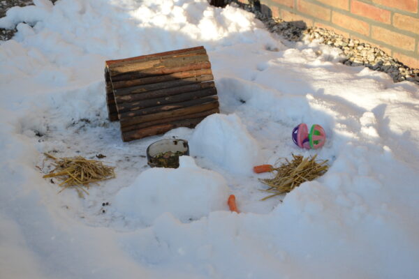 Sneeuwsculptuur 'Familie IJskonijn'