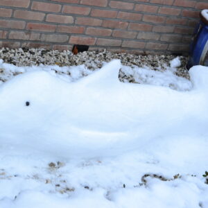 Sneeuwsculptuur 'Dolfijn'