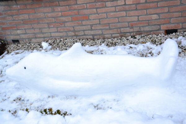 Sneeuwsculptuur 'Dolfijn' - Afbeelding 2