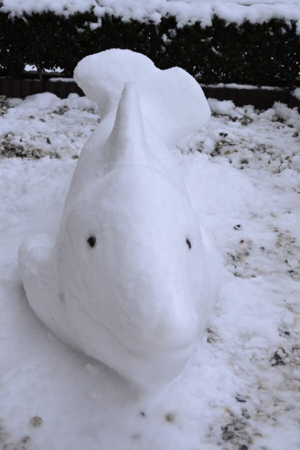 Sneeuwsculptuur 'Dolfijn' - Afbeelding 3