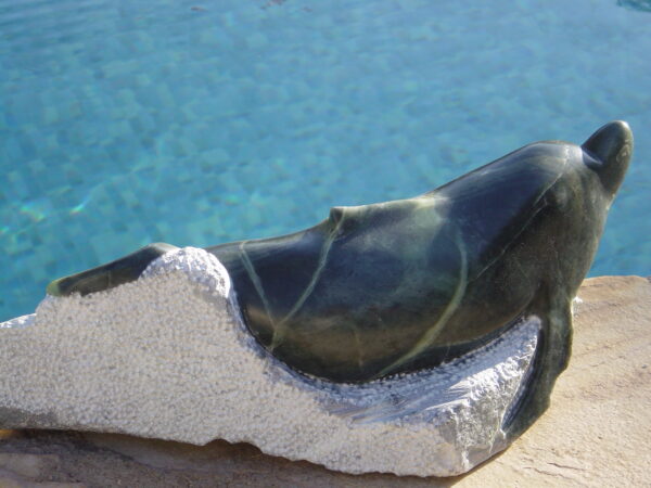 Beeld 'El Delphin' - Afbeelding 4
