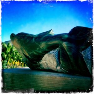 Beeld 'El Delphin'