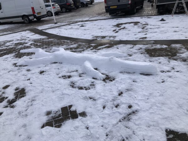 Sneeuwsculptuur 'Krokodil' - Afbeelding 4