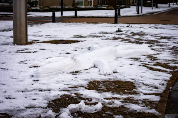 Sneeuwsculptuur 'Krokodil' - Afbeelding 5