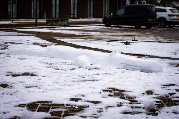 Sneeuwsculptuur 'Krokodil' - Afbeelding 6