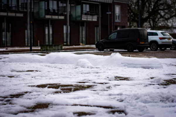 Sneeuwsculptuur 'Krokodil' - Afbeelding 7