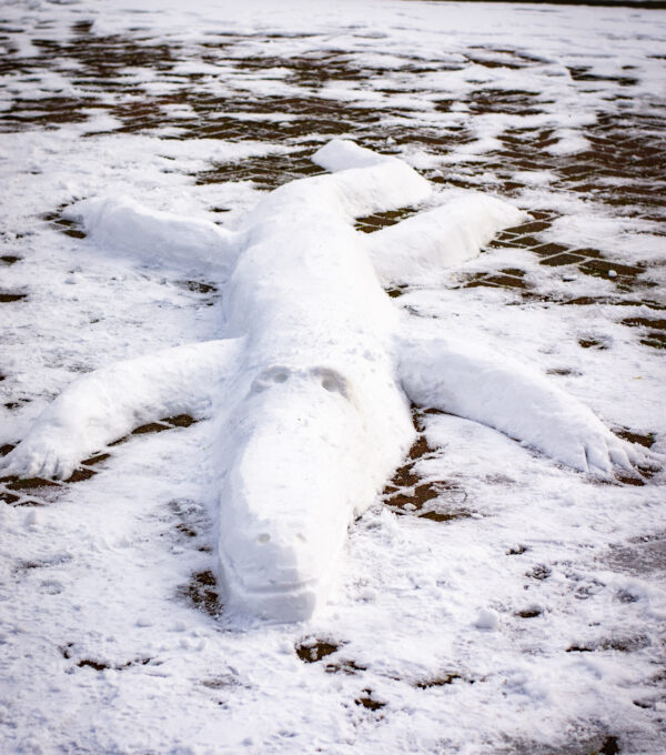 Sneeuwsculptuur 'Krokodil' - Afbeelding 8
