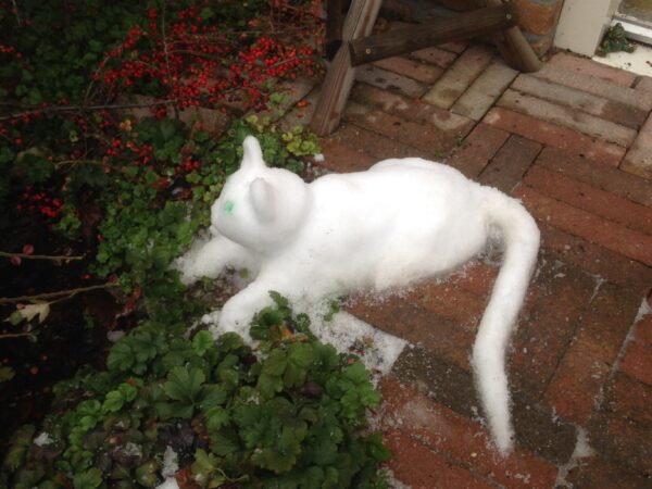 Sneeuwsculptuur 'Poes'