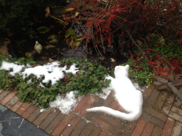 Sneeuwsculptuur 'Poes' - Afbeelding 2