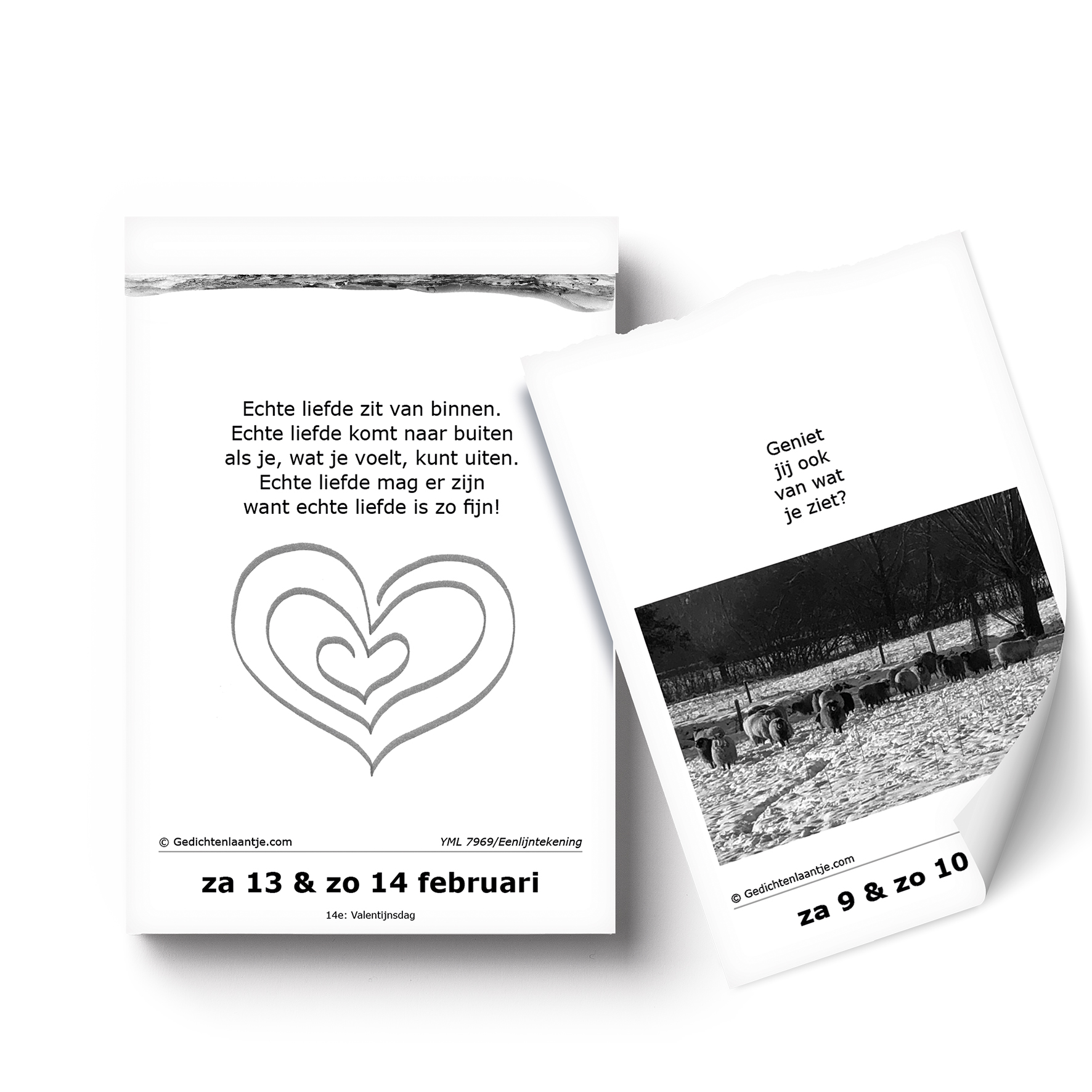 Voorbeeldpagina's Positiefjes scheurkalender 2027