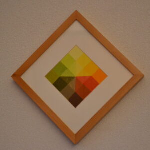 Color Square - Forest